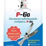น้ำยาตรวจการตั้งท้องจากปัสสาวะวัวและควาย……. P-Go (พี-โก)  ยกเลิกการจำหน่าย